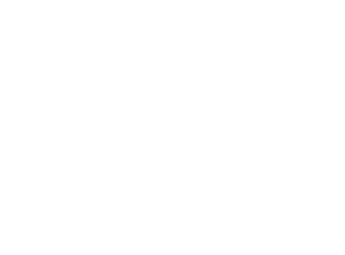 partner or client logo
